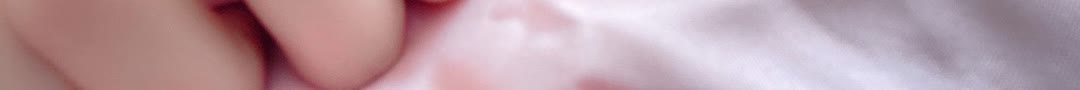 容少，夫人又又又逃了