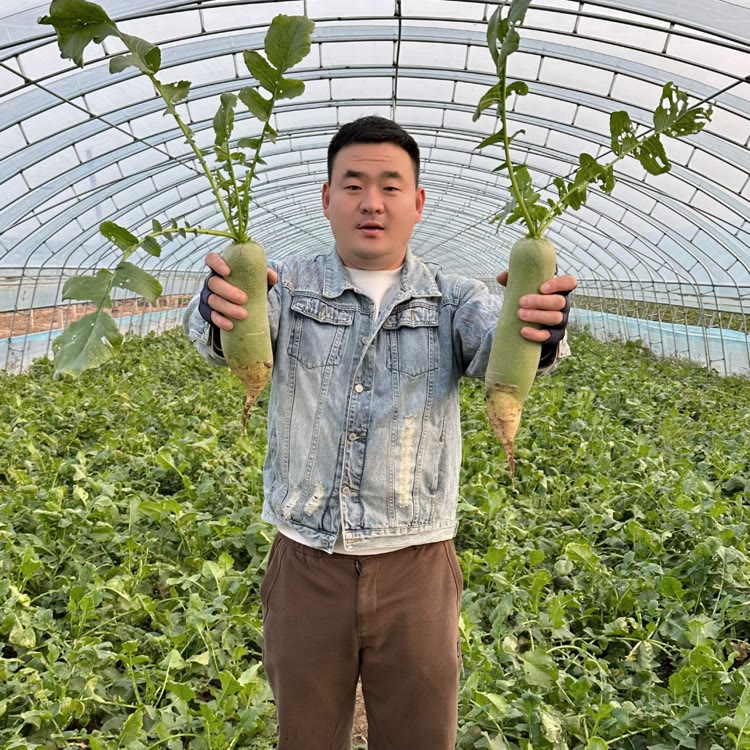 萝卜一哥生鲜优选