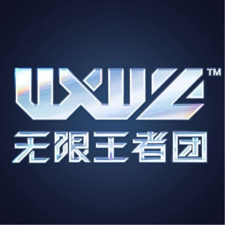无限王者团