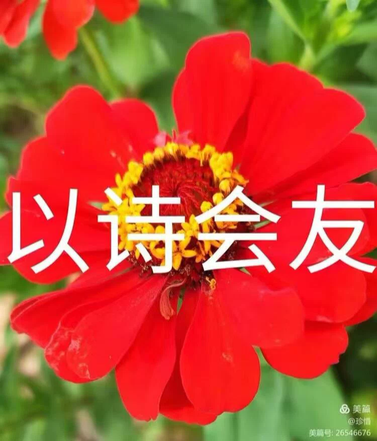 图片4