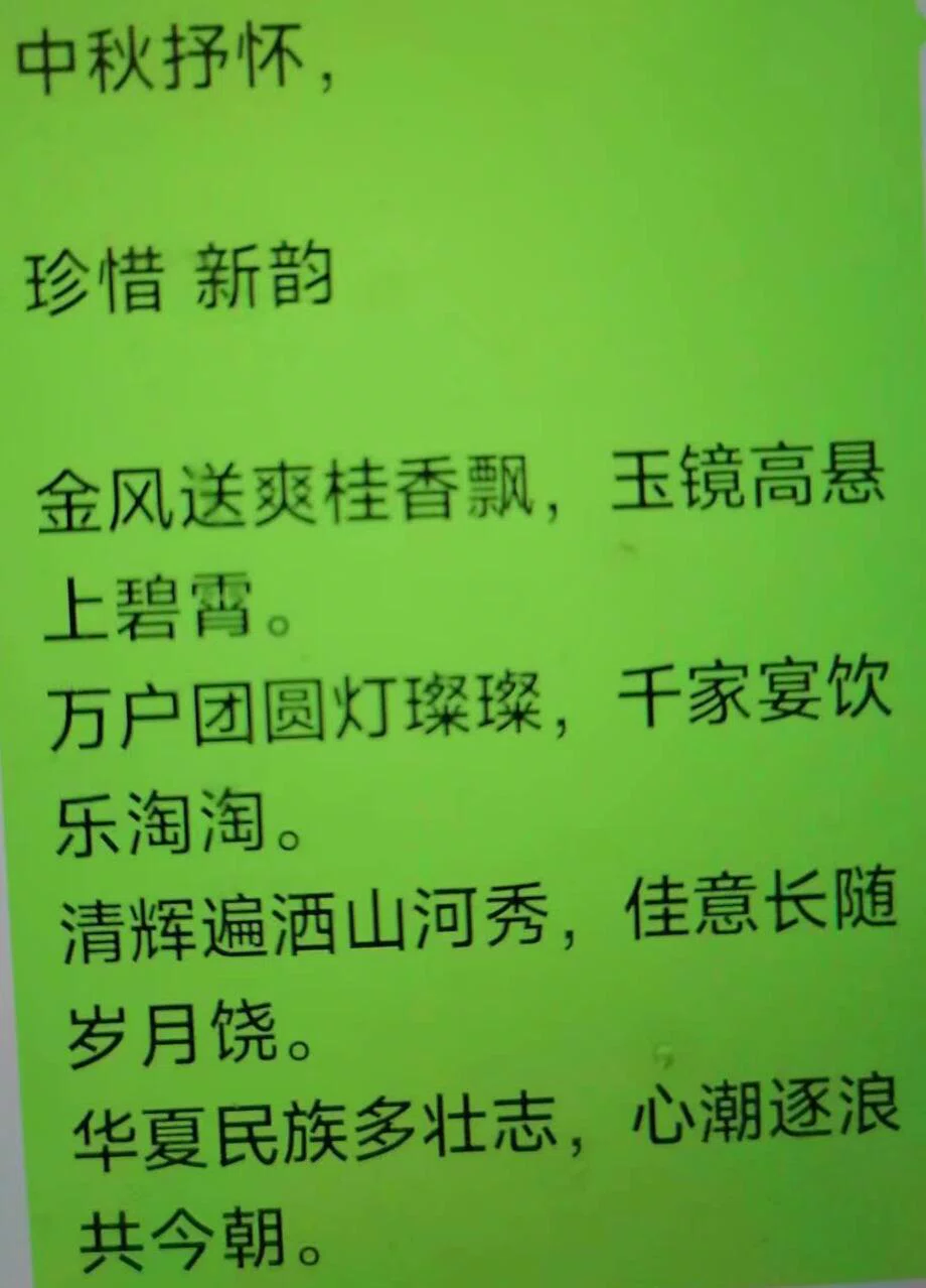 图片8