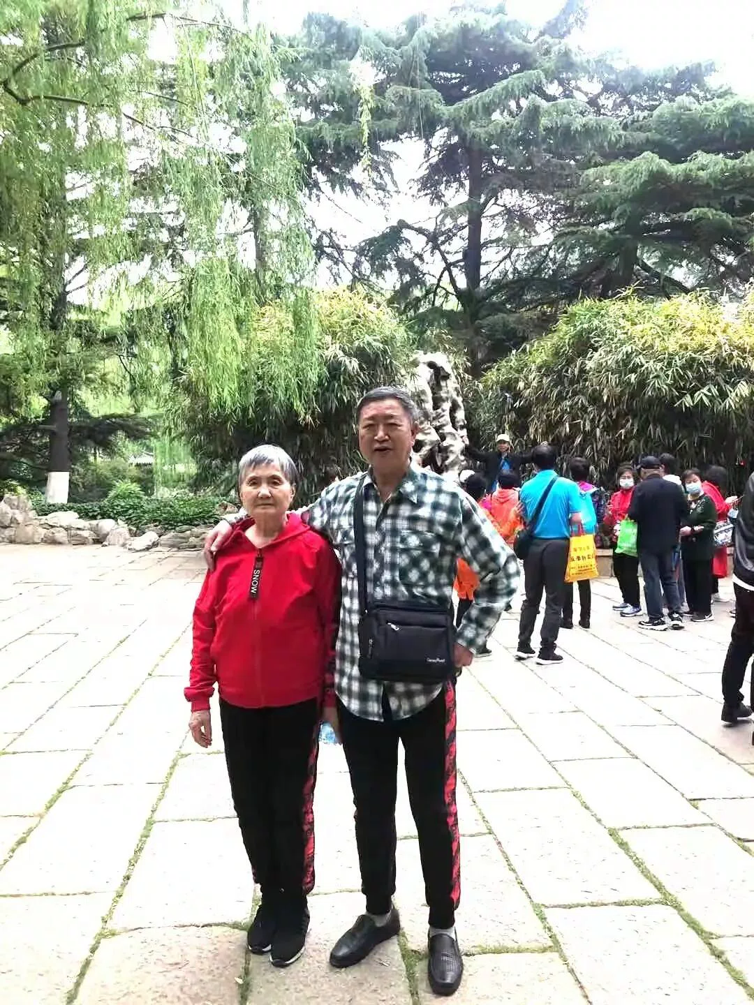 图片15