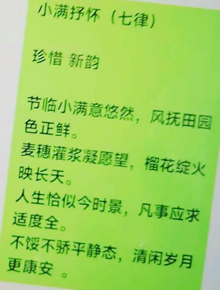 图片12