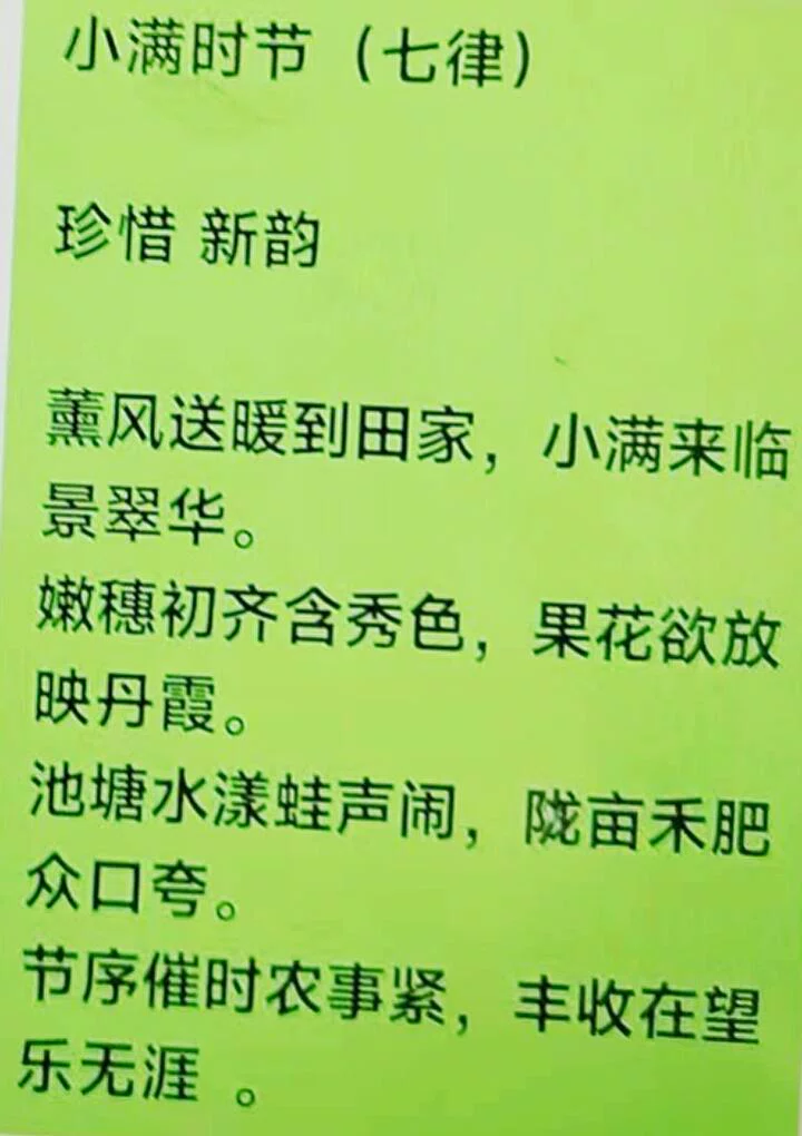 图片6