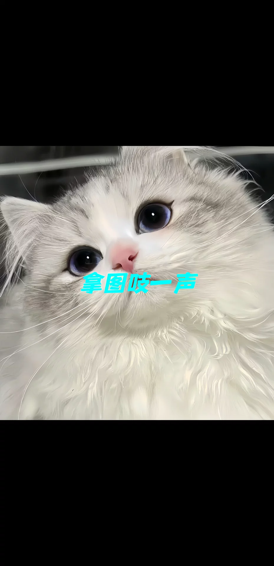 图片31