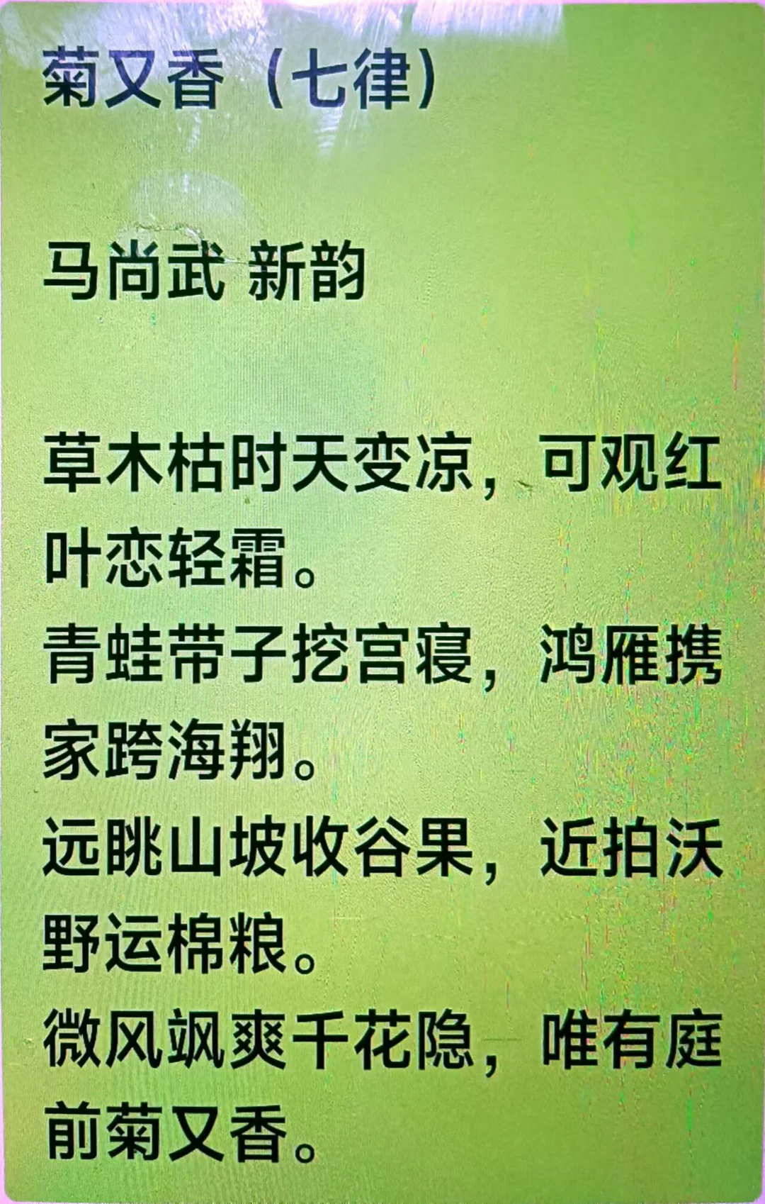 图片4