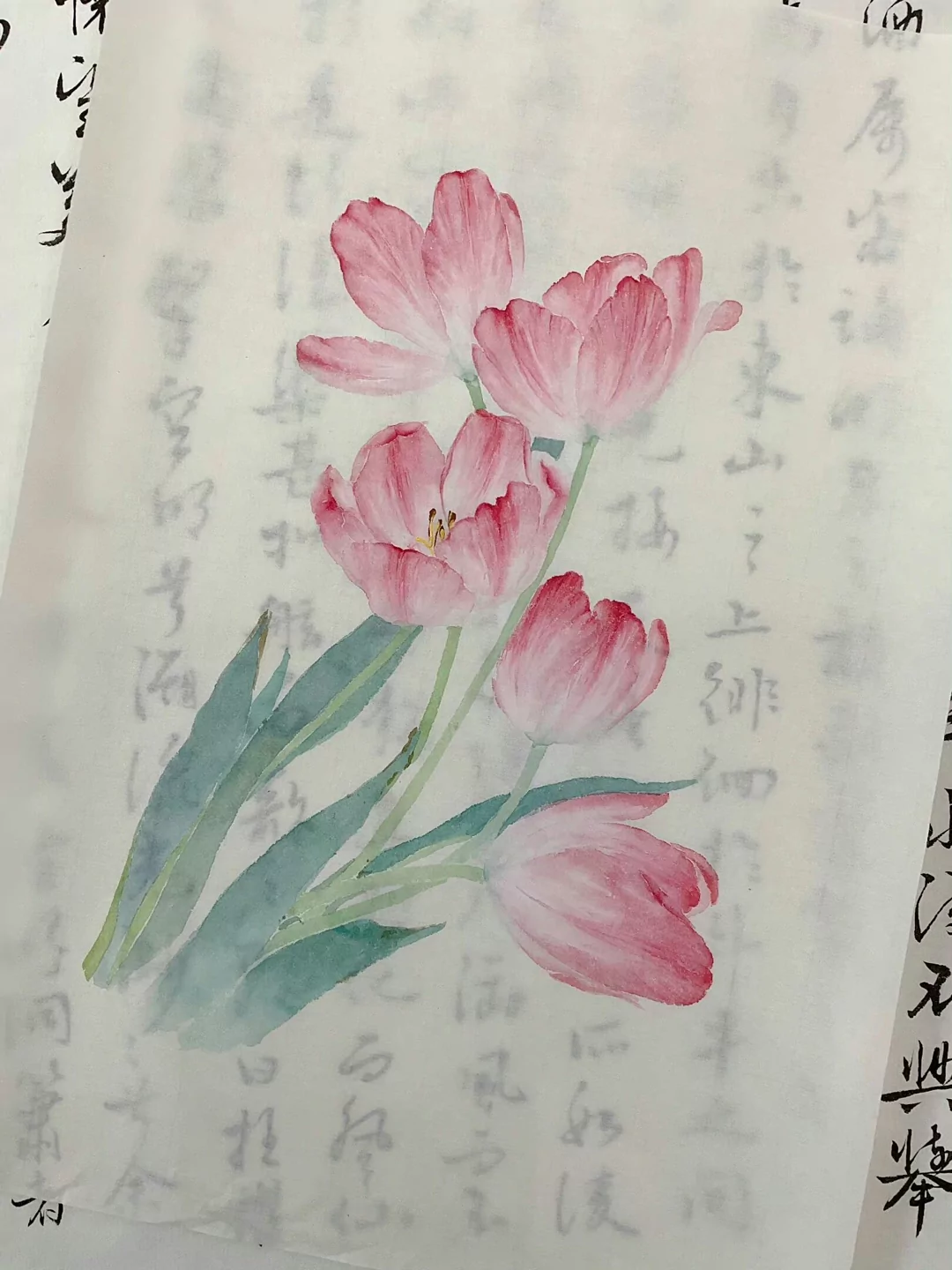 图片7