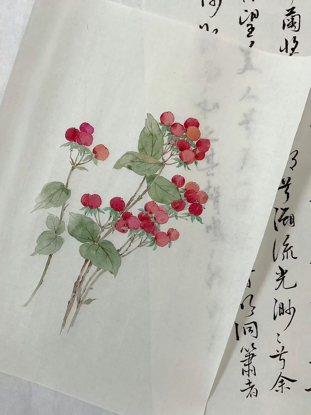 图片8