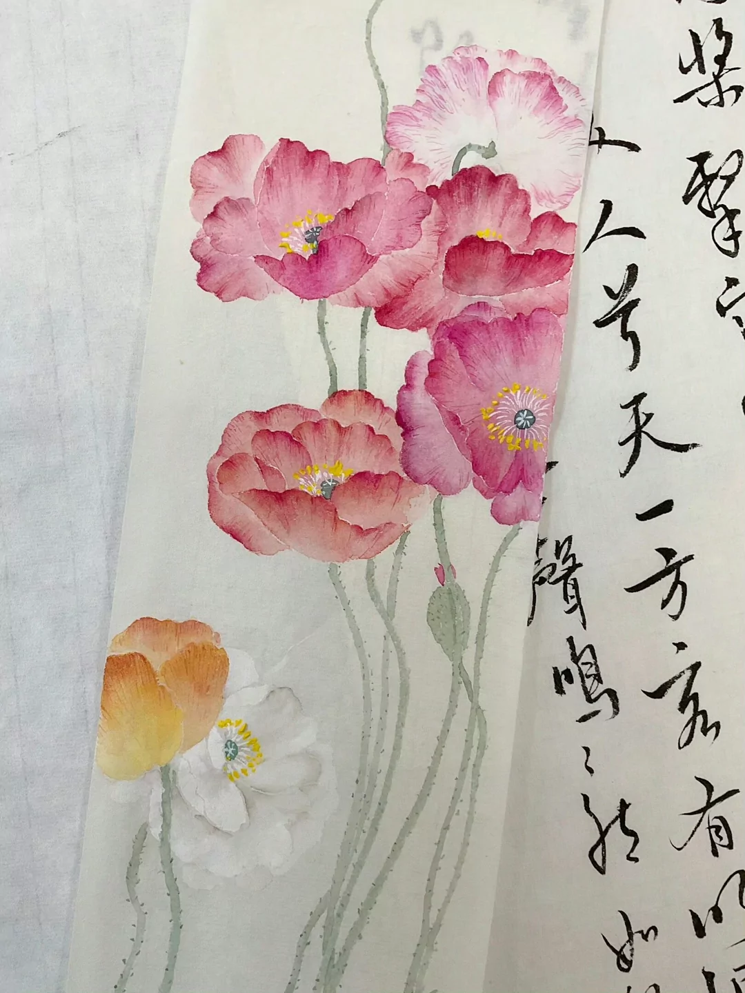 图片9