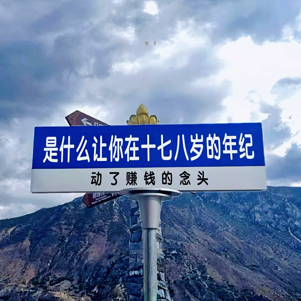 图片14