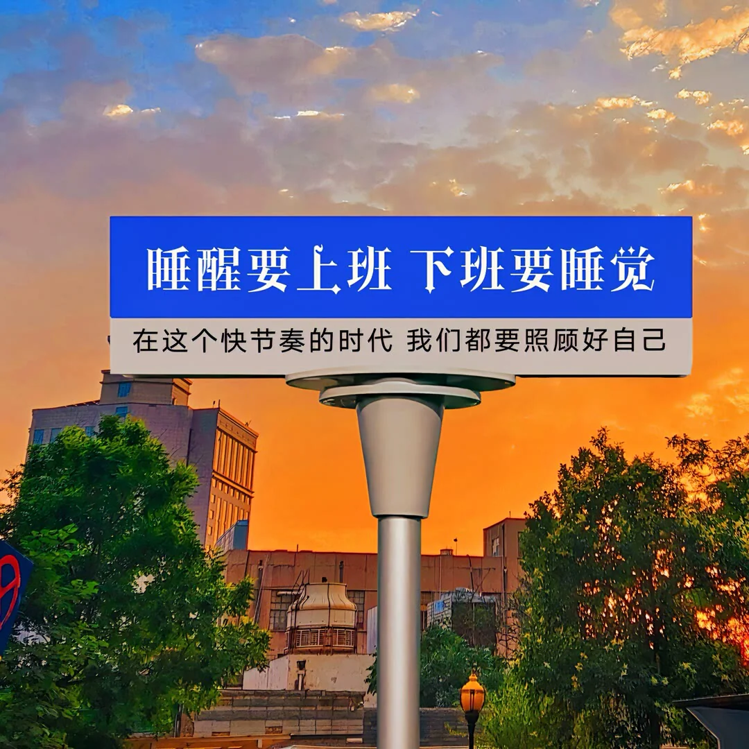 图片15