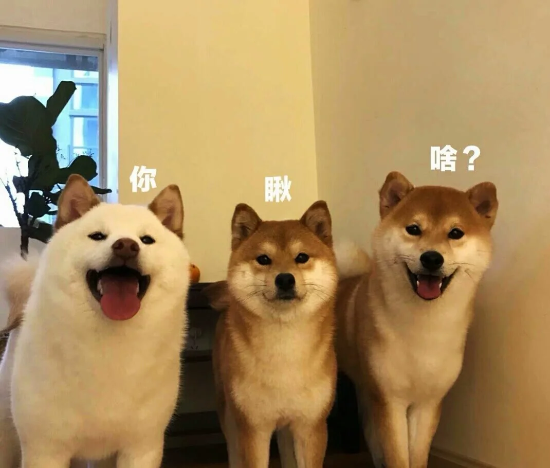 图片19