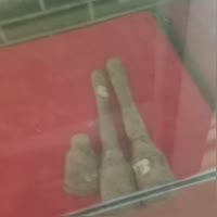 建安汇用户头像
