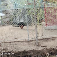 建安汇用户头像