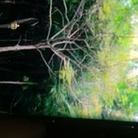 建安汇用户头像
