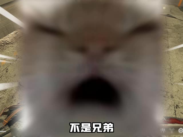 炸弹小车电击小车？彩六小车的神奇用法鉴定！ #三角洲行�� #三角洲S10裂变新赛季 #三角洲鼠期大行动 #三角洲联动彩虹六号 